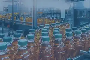Food and Beverage