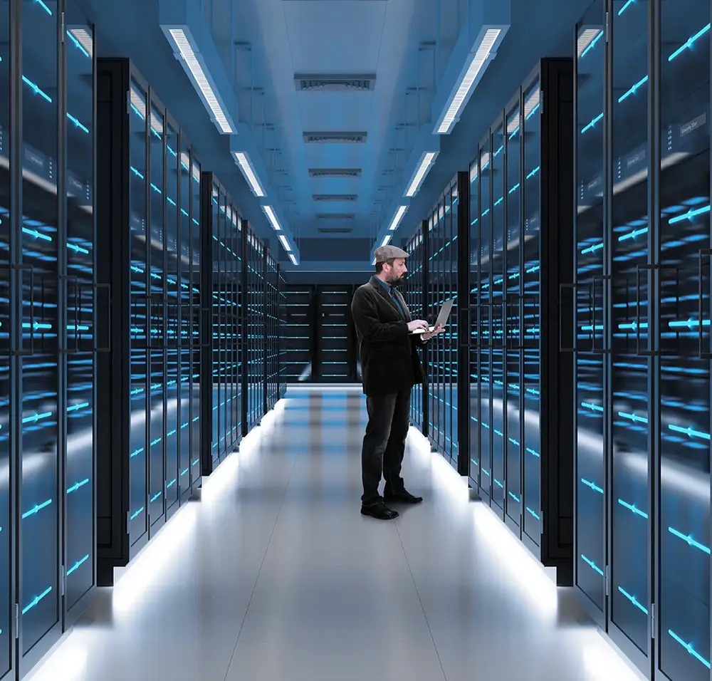 Data Storage Microelectronics